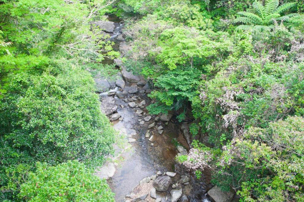 海と山と川！やんばるの大自然に囲まれた戸建ての宿 Villa Ogimi Екстериор снимка